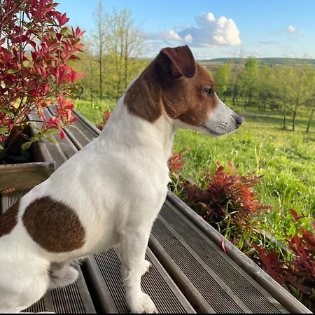 Frühstückspension Un Petit Ilot De Confort - Made In Finland