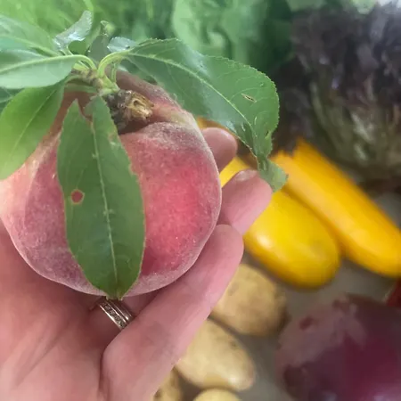 Un Petit Ilot De Confort - Made In Finland Frühstückspension Monflanquin