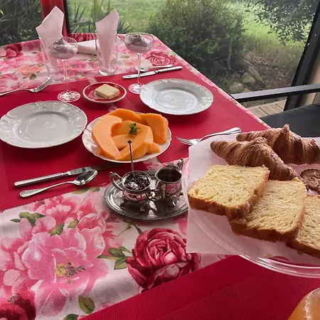 Bed & Breakfast Un Petit Ilot De Confort - Made In Finland Monflanquin