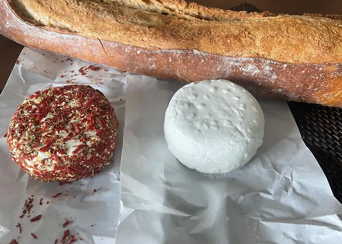 Un Petit Ilot De Confort - Made In Finland 住宿加早餐酒店