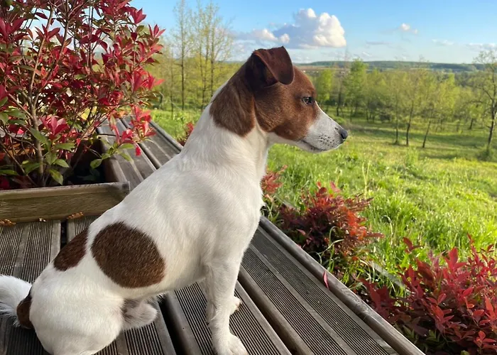 住宿加早餐酒店 Un Petit Ilot De Confort - Made In Finland