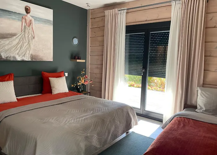 Un Petit Ilot De Confort - Made In Finland 蒙弗朗坎