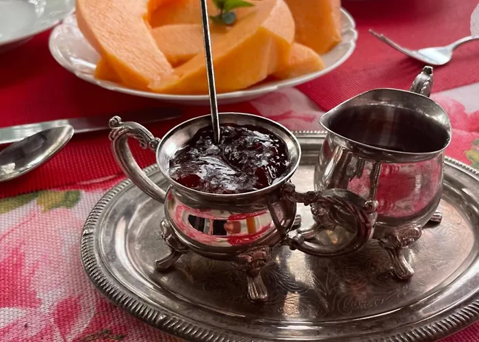 Un Petit Ilot De Confort - Made In Finland 住宿加早餐酒店