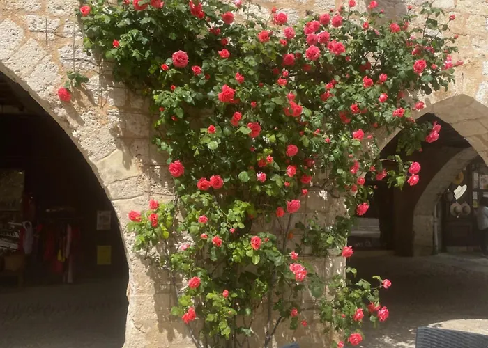 Un Petit Ilot De Confort - Made In Finland 住宿加早餐酒店 蒙弗朗坎